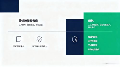 烽林与传统流量服务商差异化对比图