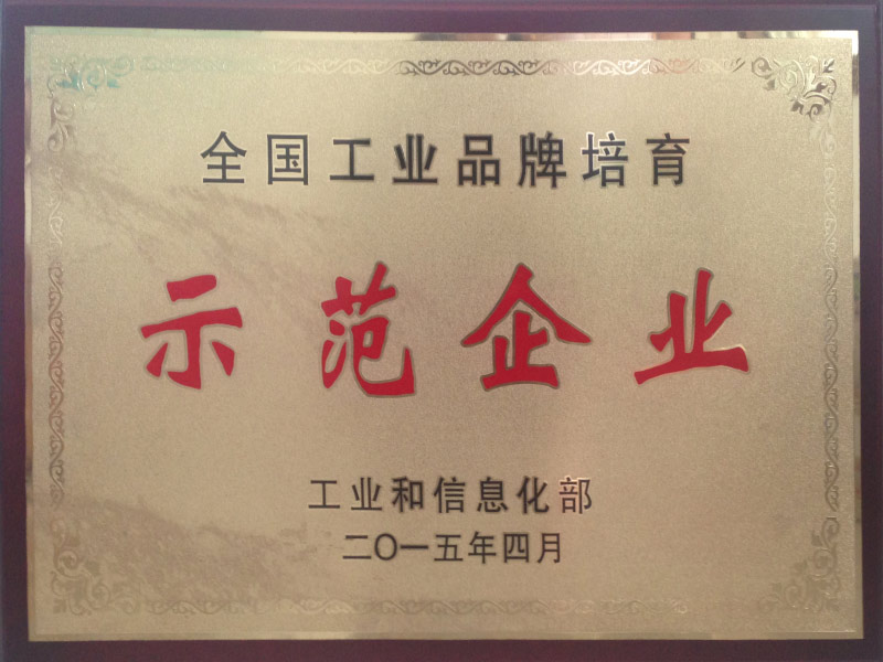 全国工业品牌培育示范企业