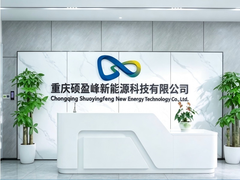 重庆硕盈峰新能源科技有限公司 – 企业文件加密系统部署（含离线U盘加密）