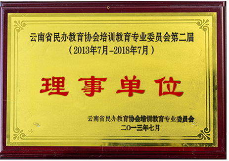 云南生民办教育协会培训教育专业委员会第二届理事单位
