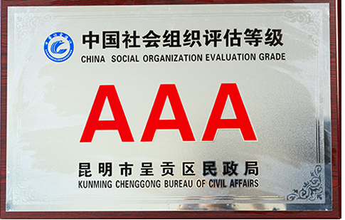 中国社会组织评估等级AAA