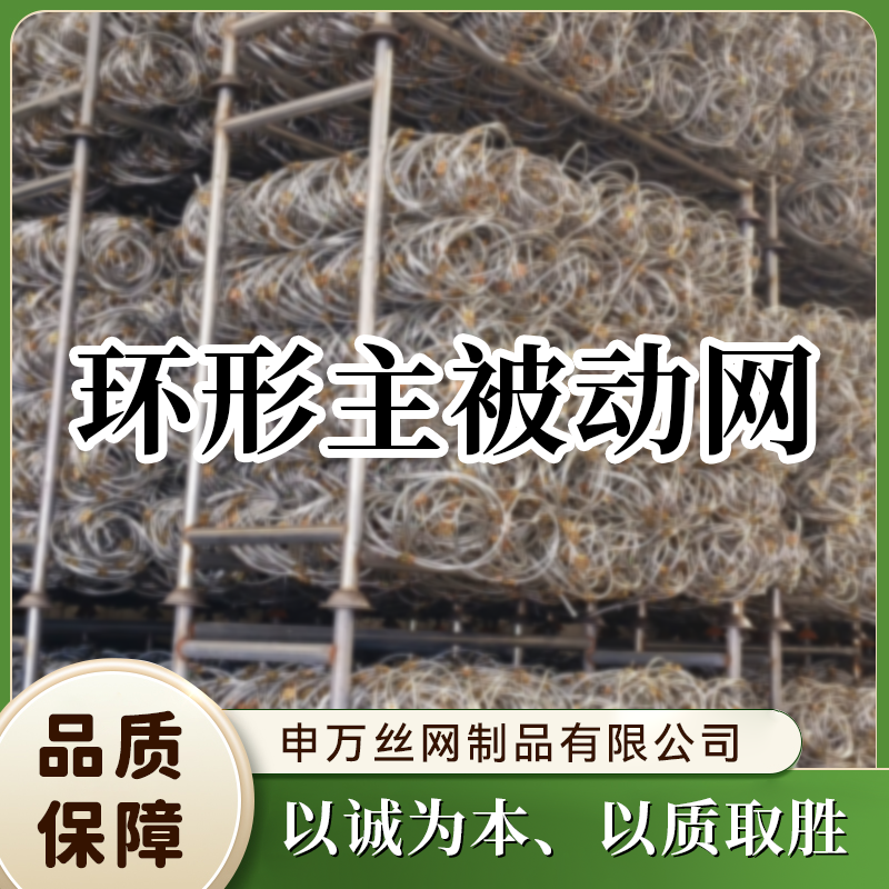 环形主被动网