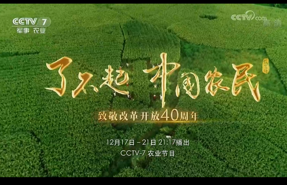 CCTV7