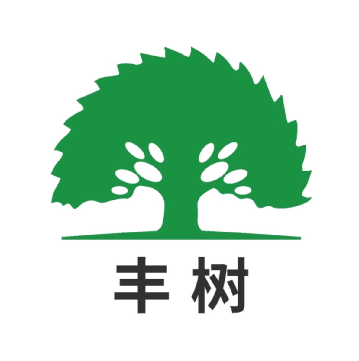 重庆丰树科技有限公司