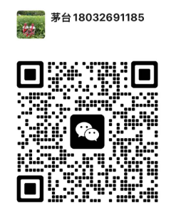 扫码联系我们