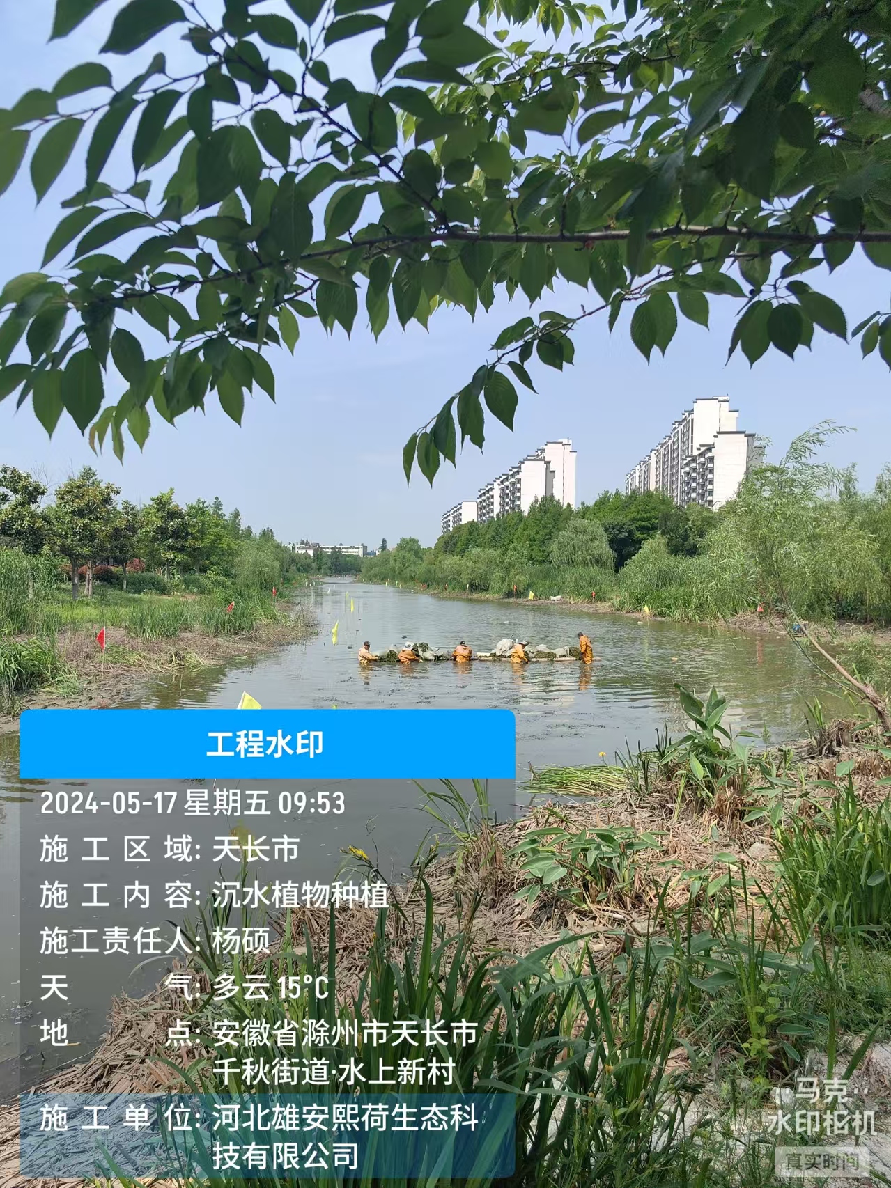 案例2
