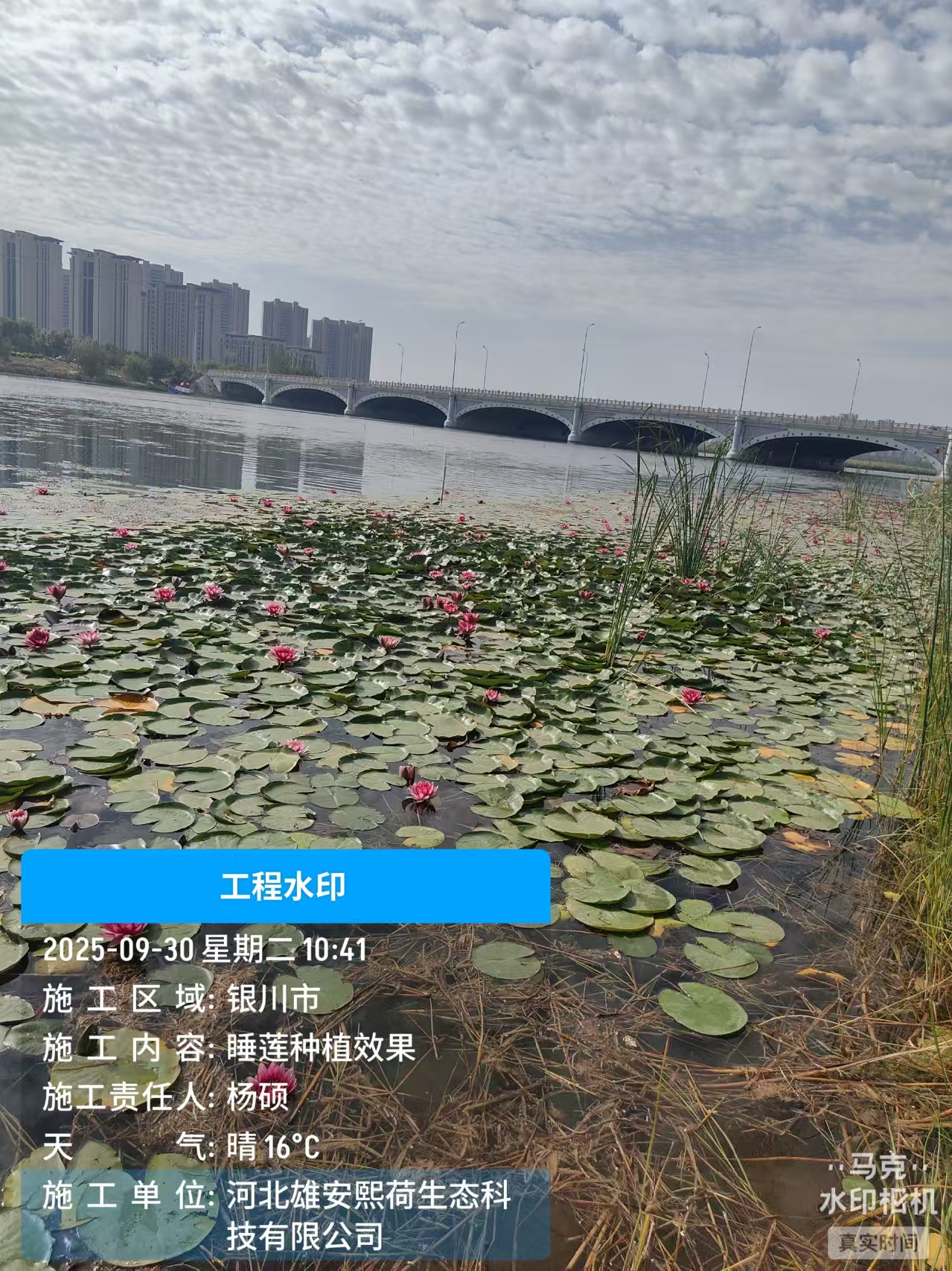 案例1