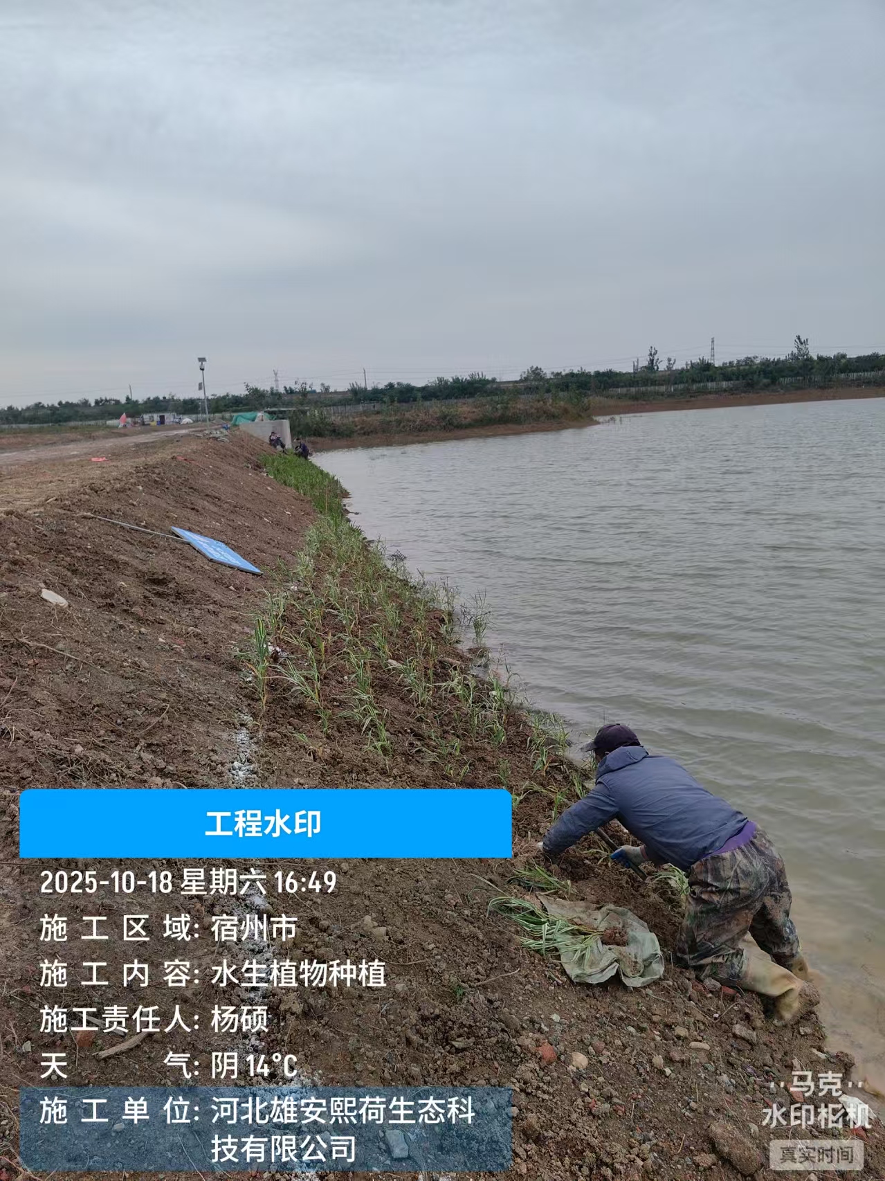 案例5
