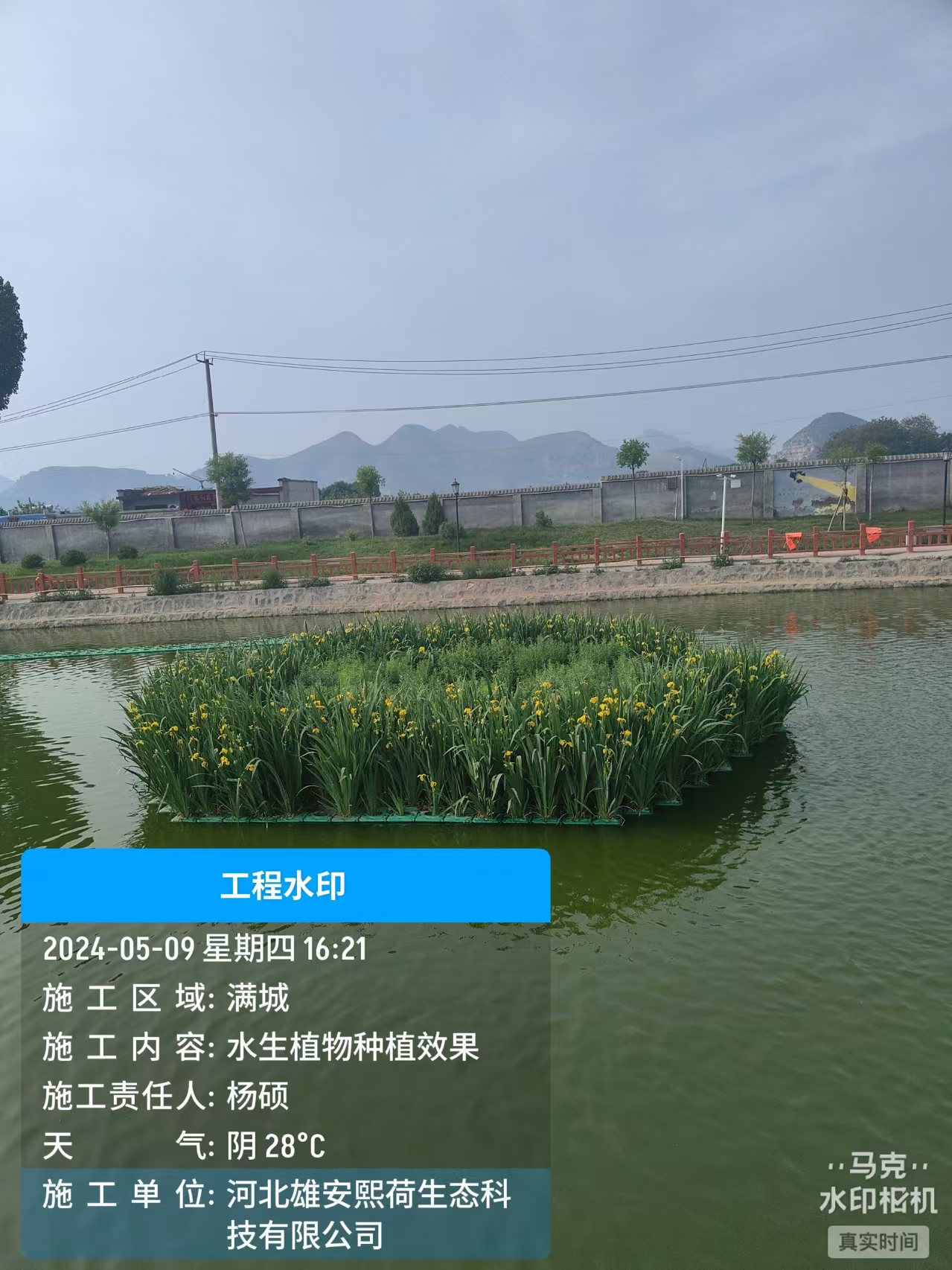案例4