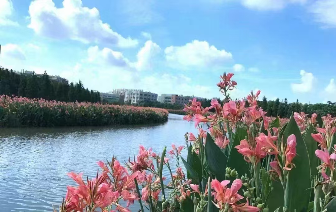  河北雄安熙荷生态科技有限公司