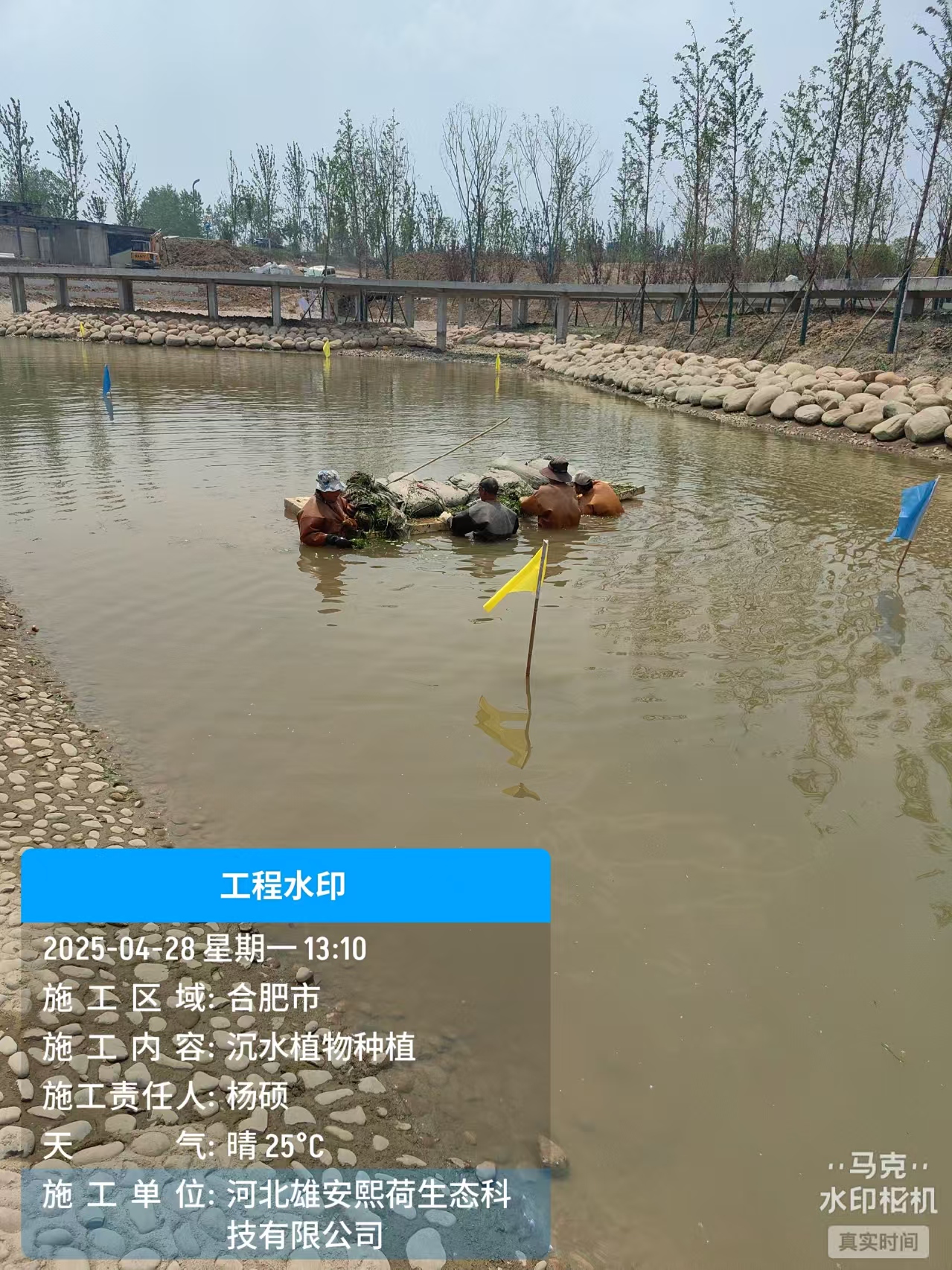 案例3