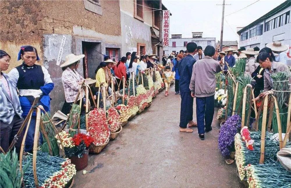 2000年见证了斗南的花街
