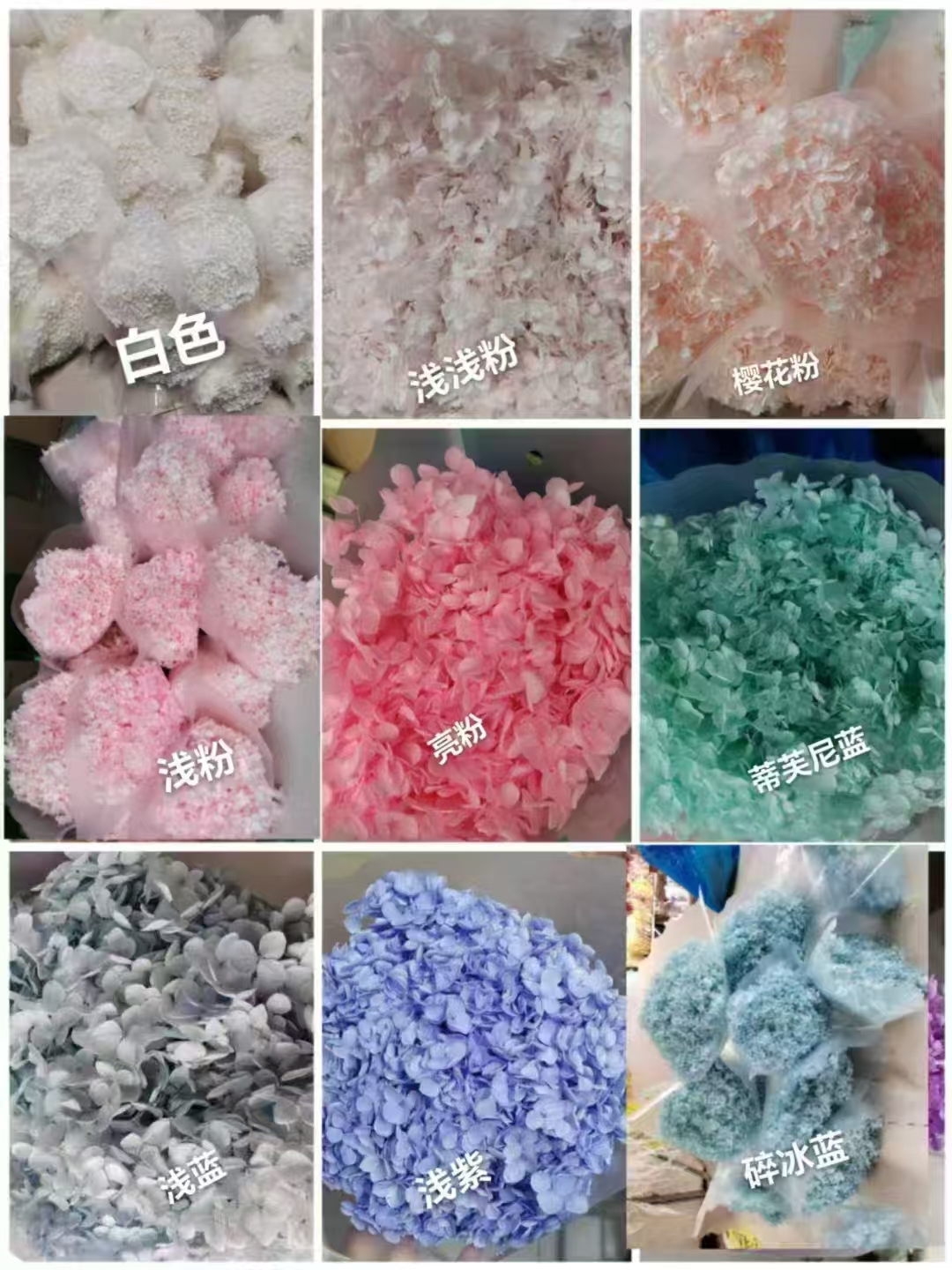 永生花干花批发