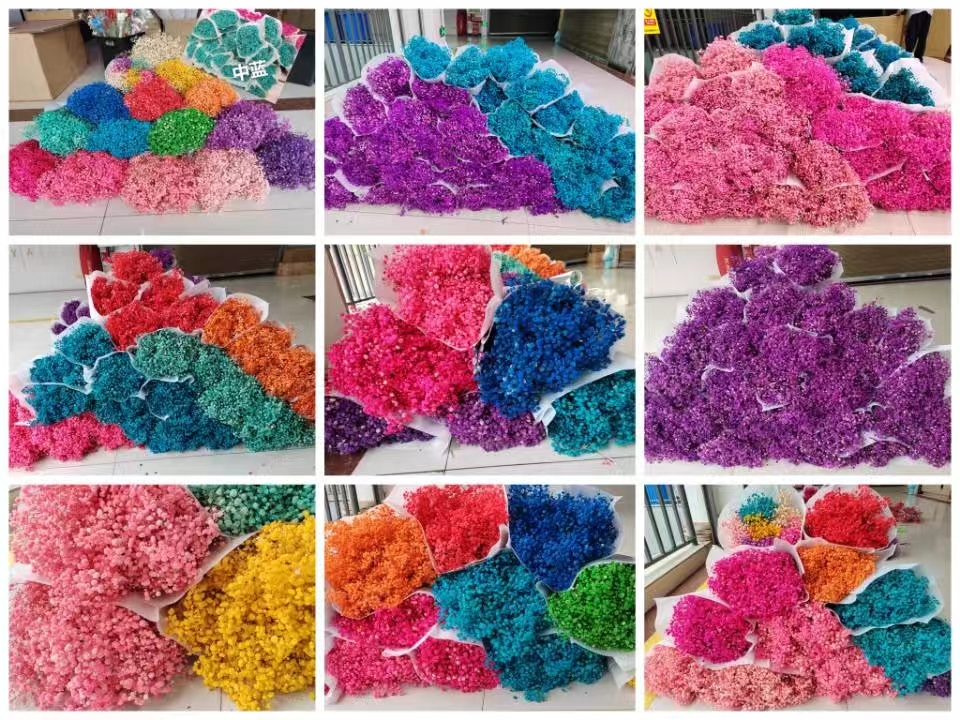永生花干花批发
