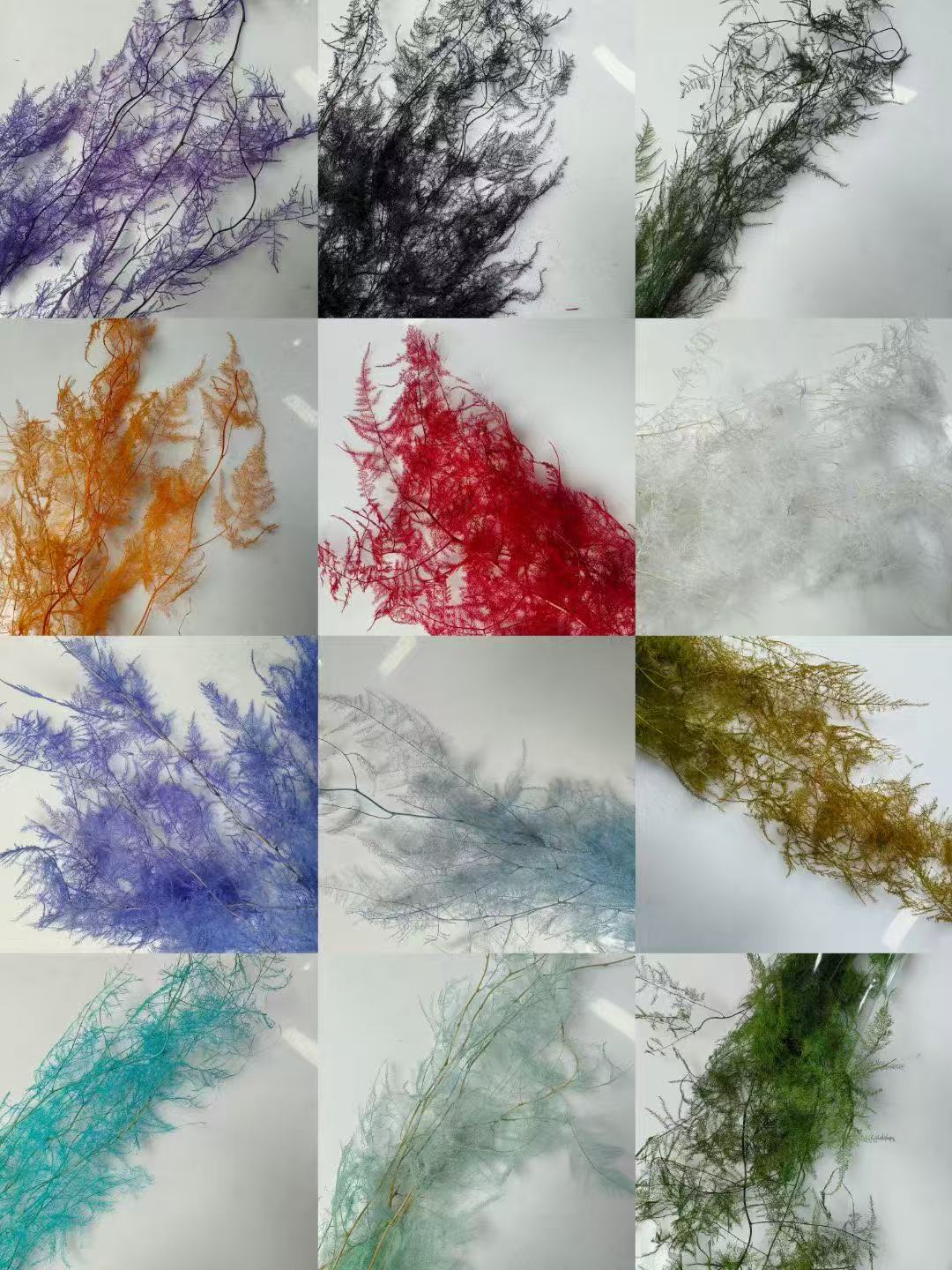 永生花干花批发