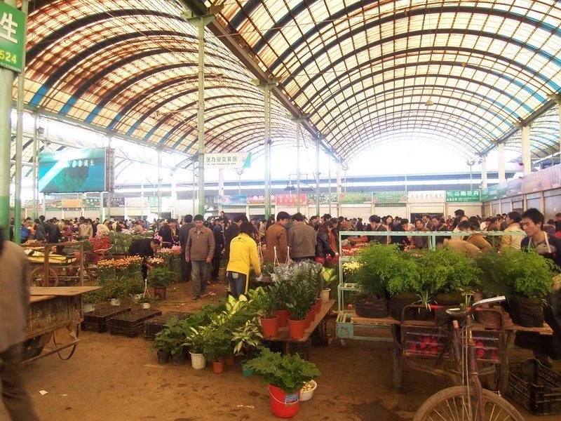 1999年启用的斗南花卉市场