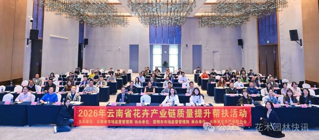 聚焦提质强链！云南省花卉产业链质量提升帮扶活动在昆明启动
