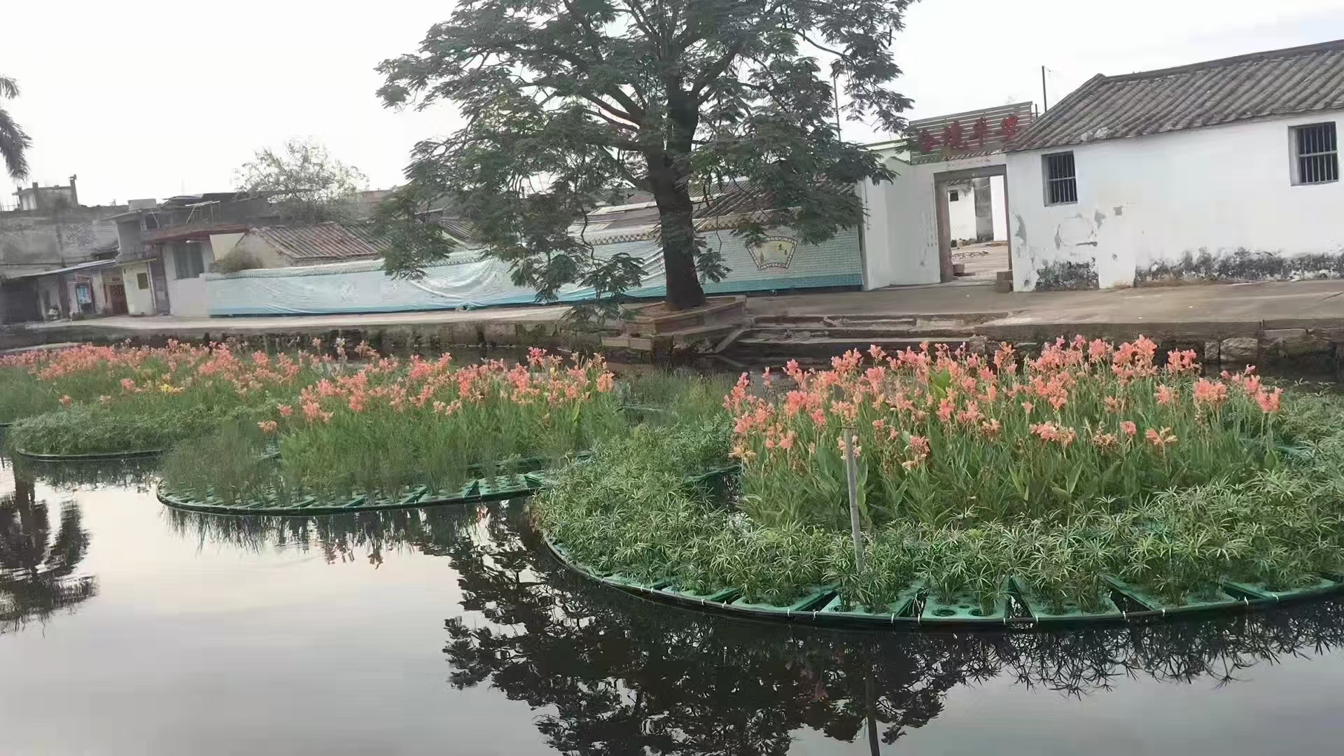 合作案例5