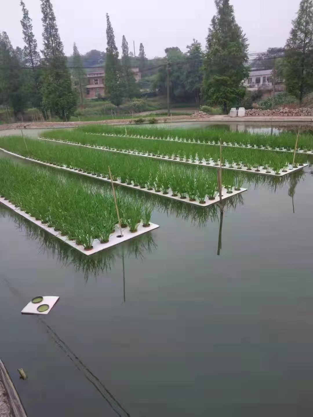 合作案例2