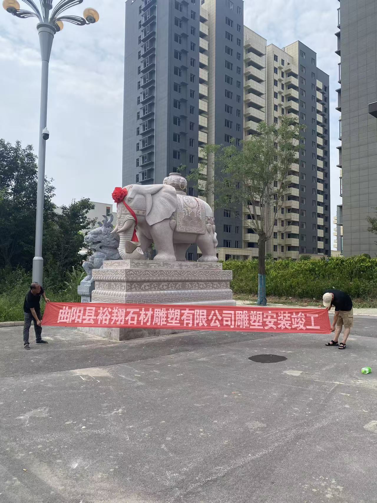 石雕大象合作案例