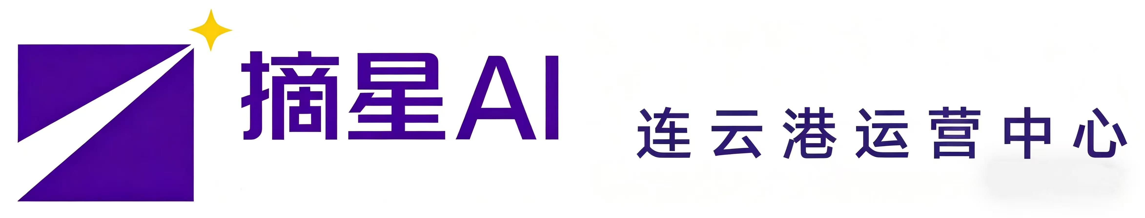 连云港摘星人工智能科技有限公司