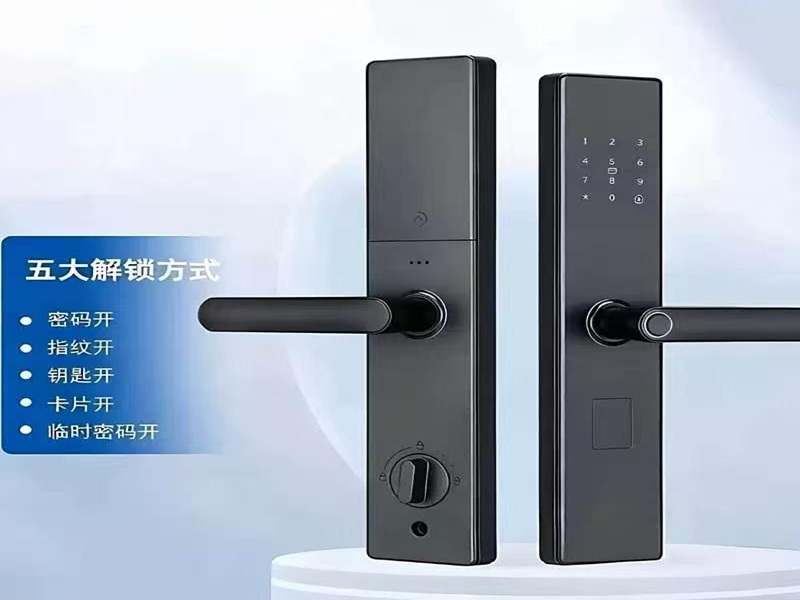 基础家用半自动智能锁