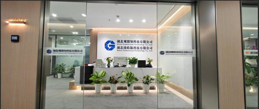  湖北观微知科技有限公司