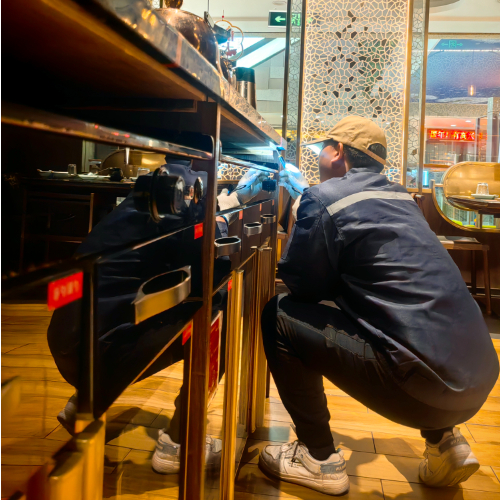 海鲨湾高档饭店案例