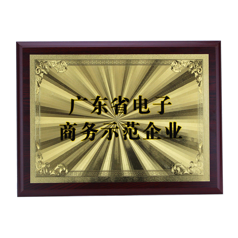 广东省电子商务示范企业