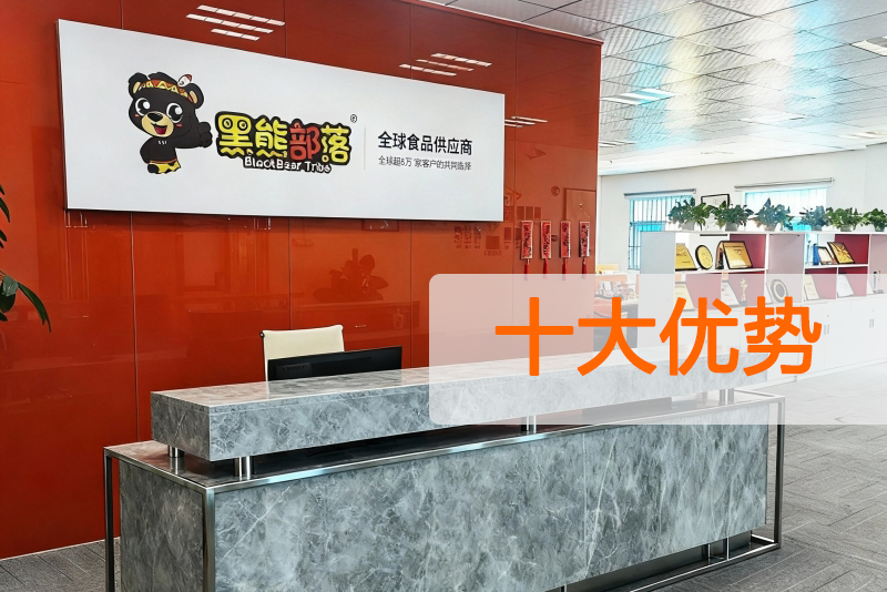 黑熊部落立足行业十年来的十大优势