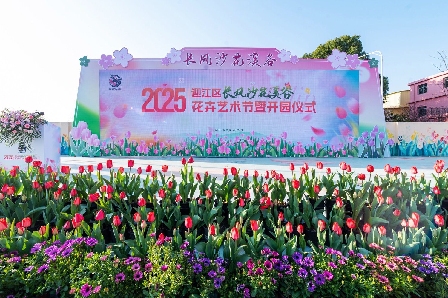 2025年3月20日 迎江区长风沙花溪谷花卉艺术节暨开园仪式