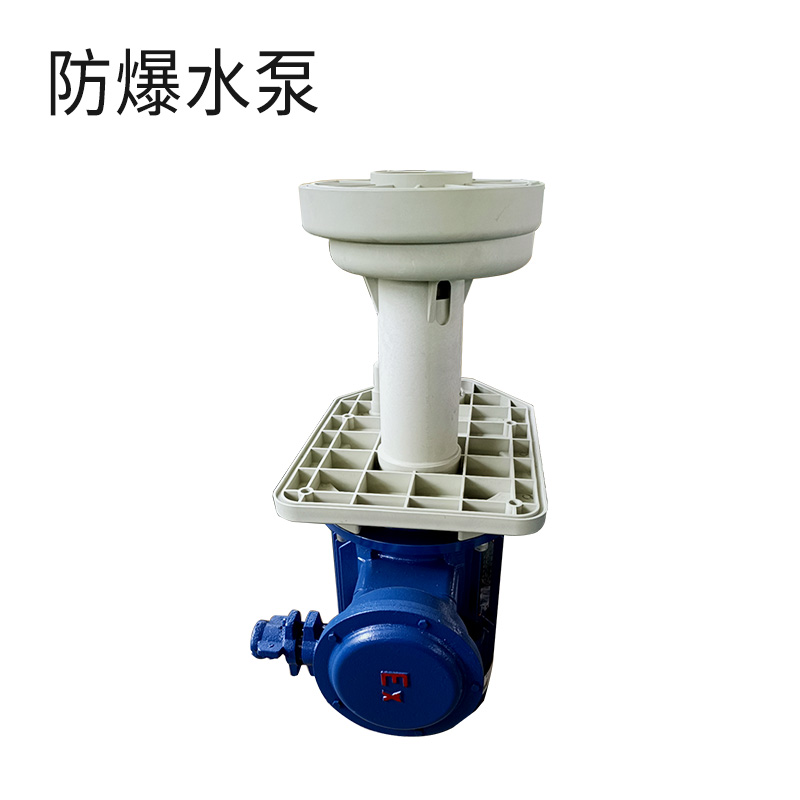 防爆水泵