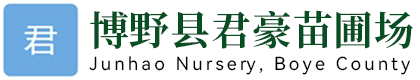 博野县君豪苗园林