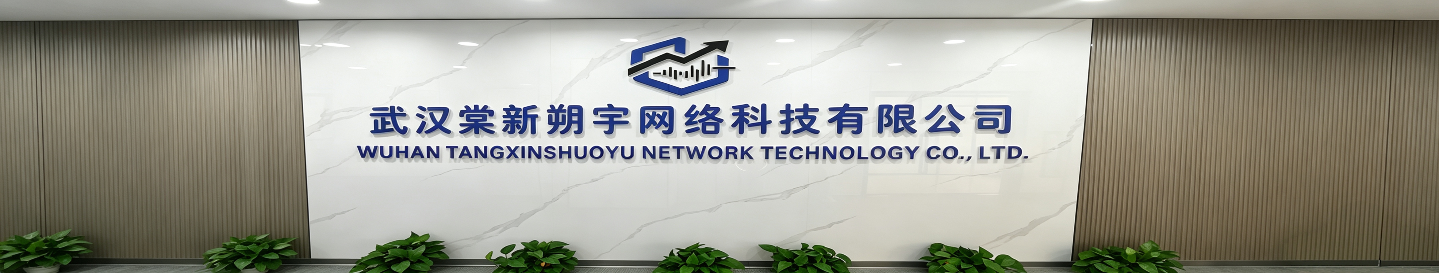 武汉棠新朔宇网络科技有限公司