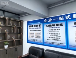 全域新媒体全链路运营服务