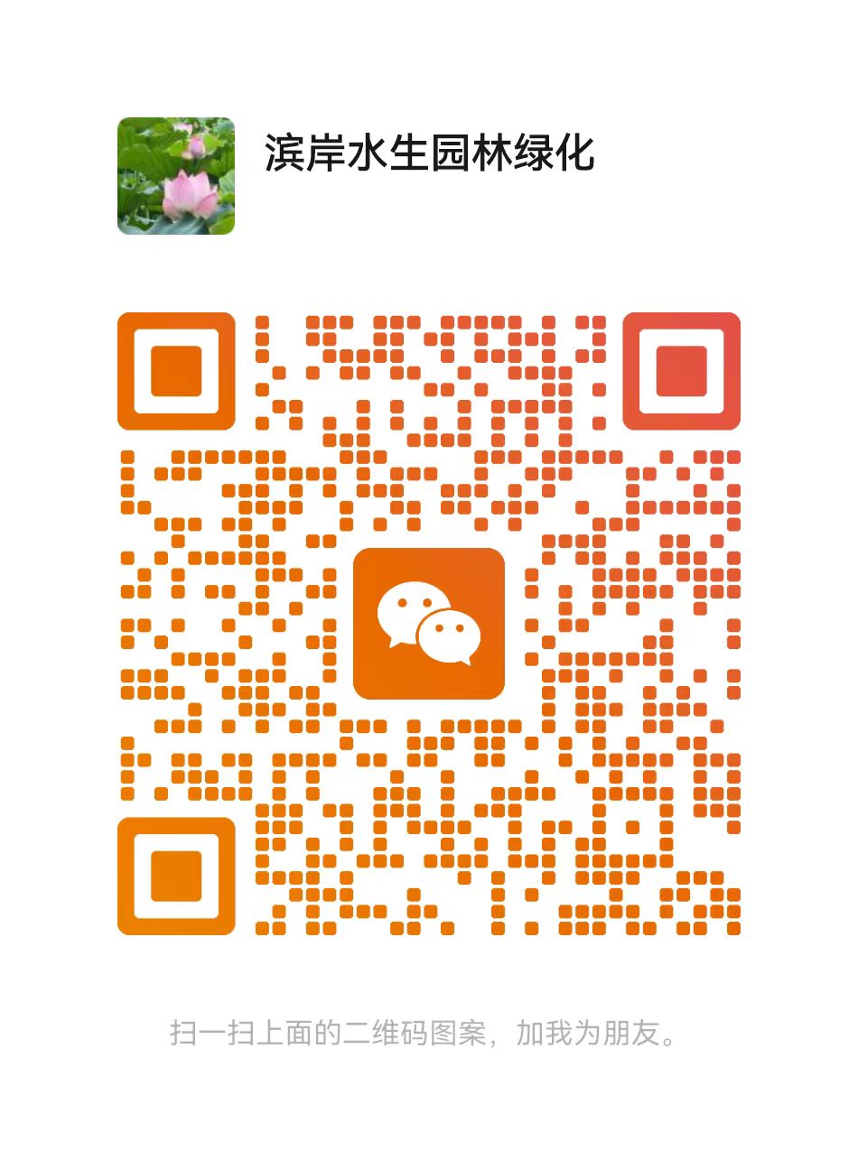 扫码联系我们