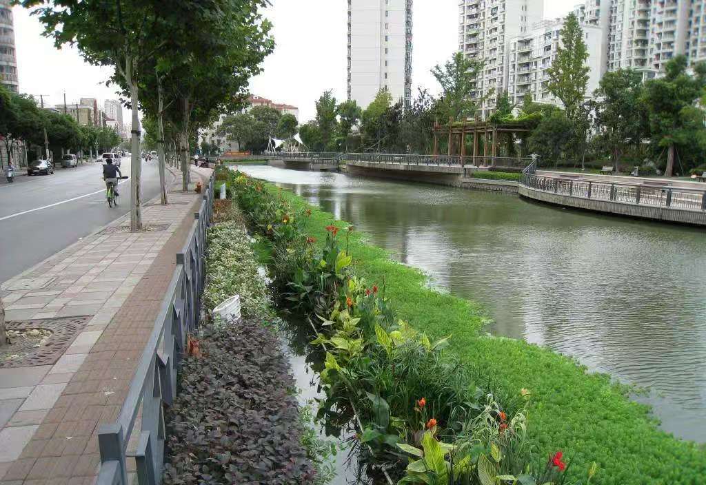 生态浮岛2