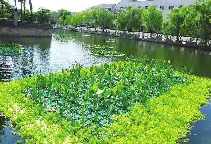 生态浮岛4