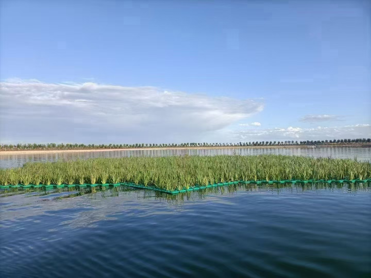 生态浮岛3