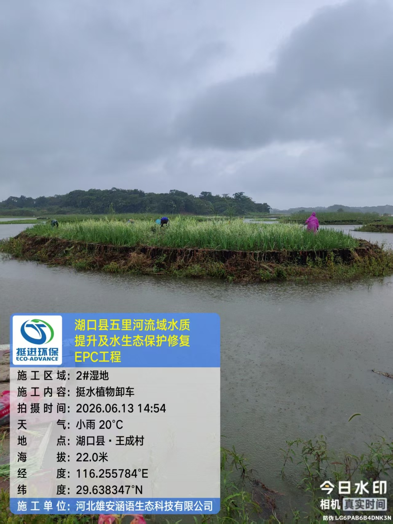 湖口县五里河流域水质提升及水生态保护