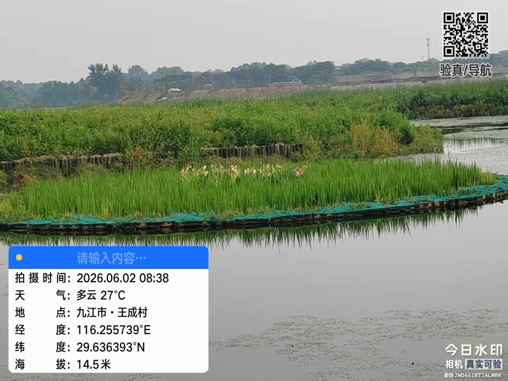 九江市王成村生态浮岛工程