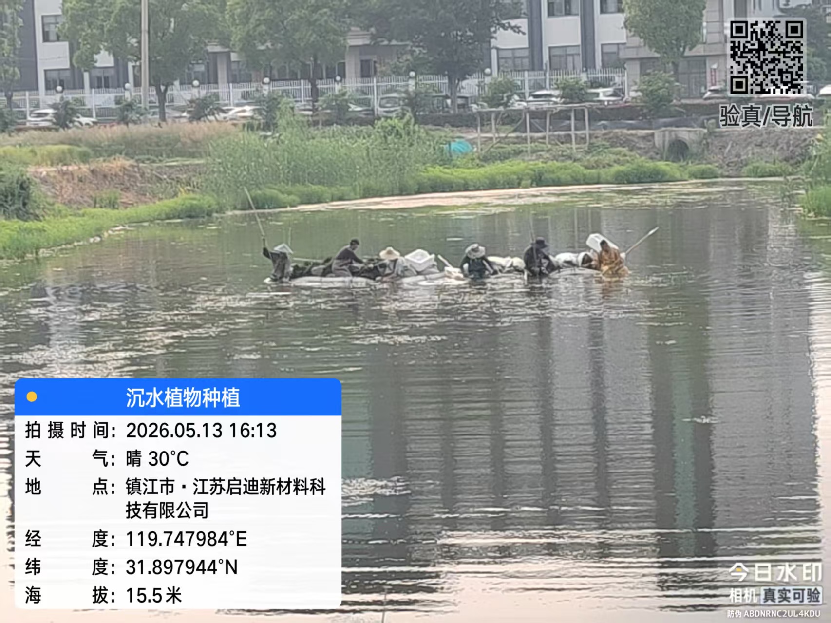江苏启迪新材料科技有限公司沉水植物种植