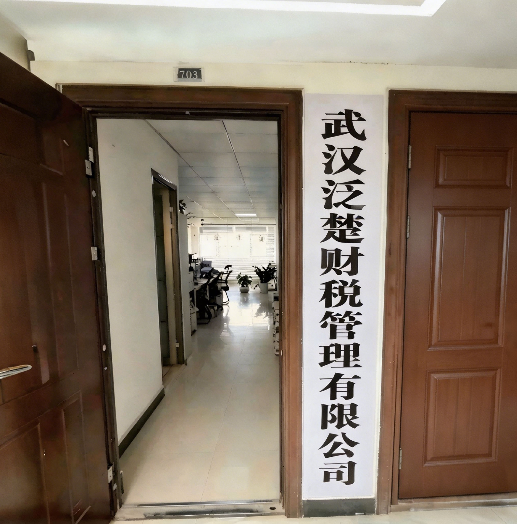  武汉泛楚财税管理有限公司