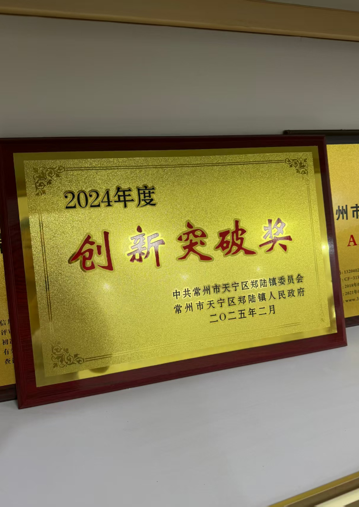创新突破奖