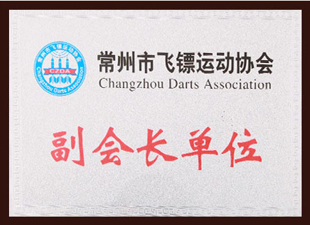 常州市飞镖运动协会副会长单位