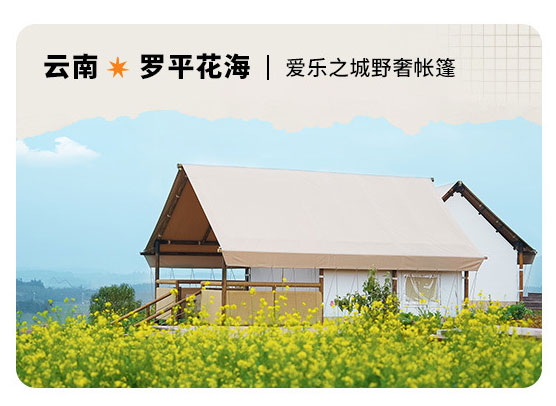云南罗平花海案例