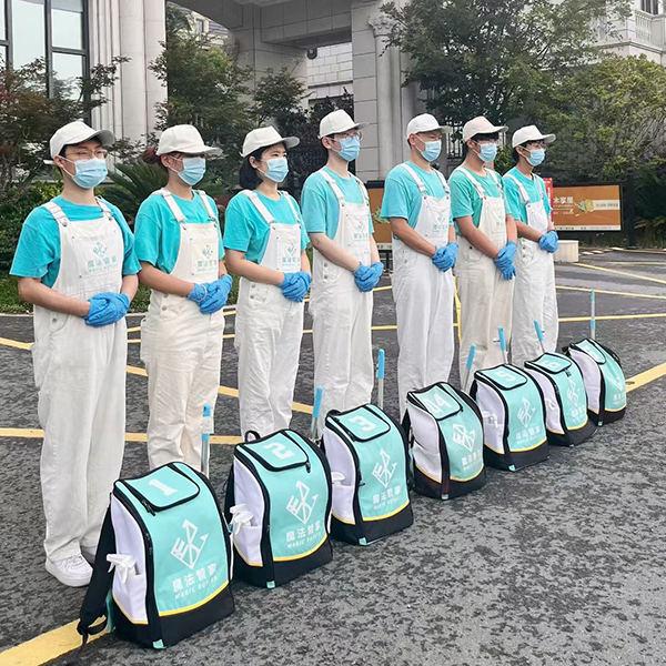 公司优势