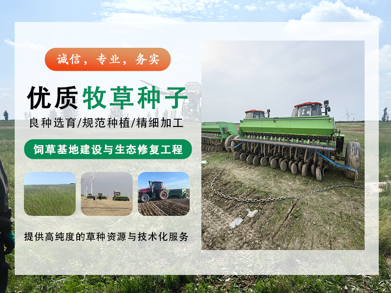  肇源县日晟草业有限公司