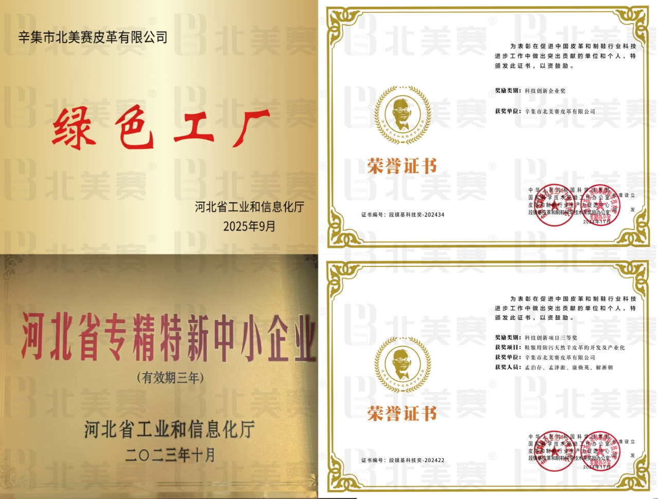 公司荣誉