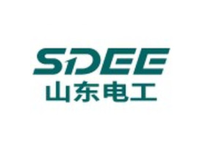 山东电工电气集团